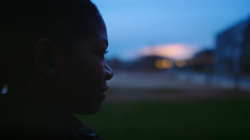 Cowtribe in the future