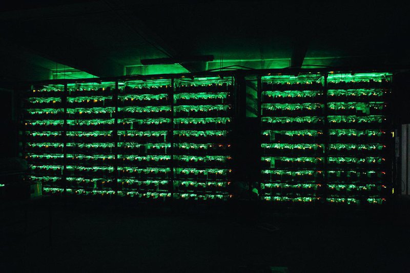 Bitcoin Mining Factory