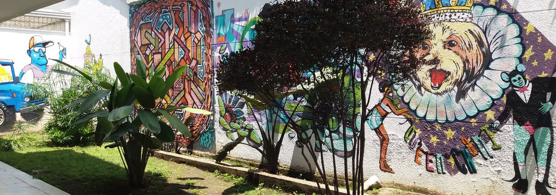 My experience working at Seedspace Medellín