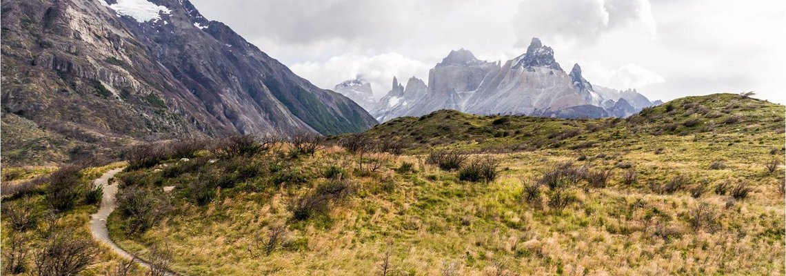Road trip into Chilecon valley: discover the tech ecosystem landscape of Chile!