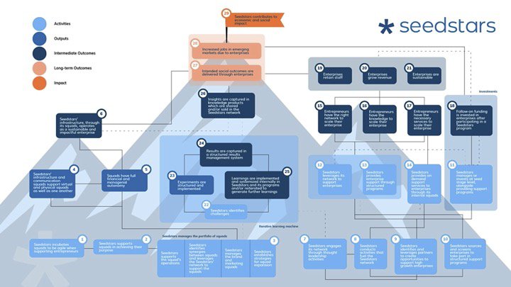 Seedstars (Kabosy SA) - Theory of Change.jpg
