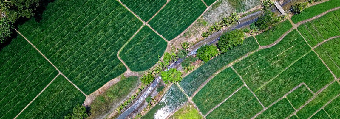The Rise of AgriTech: Feeding the World and Beyond