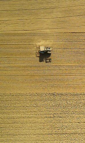 Improving Efficiency and Sustainability of Farming Businesses Through Digital Solutions