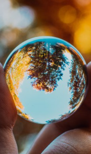 Green startups in Asia