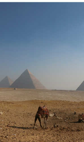 How Egypt is moving from hypergrowth to sustainable innovation