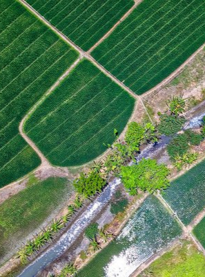 Feeding the World and Beyond