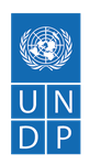 undp logo