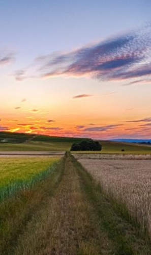 Agriculture in Latin America